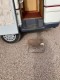 Fiat ducato motor home/ Camper van 